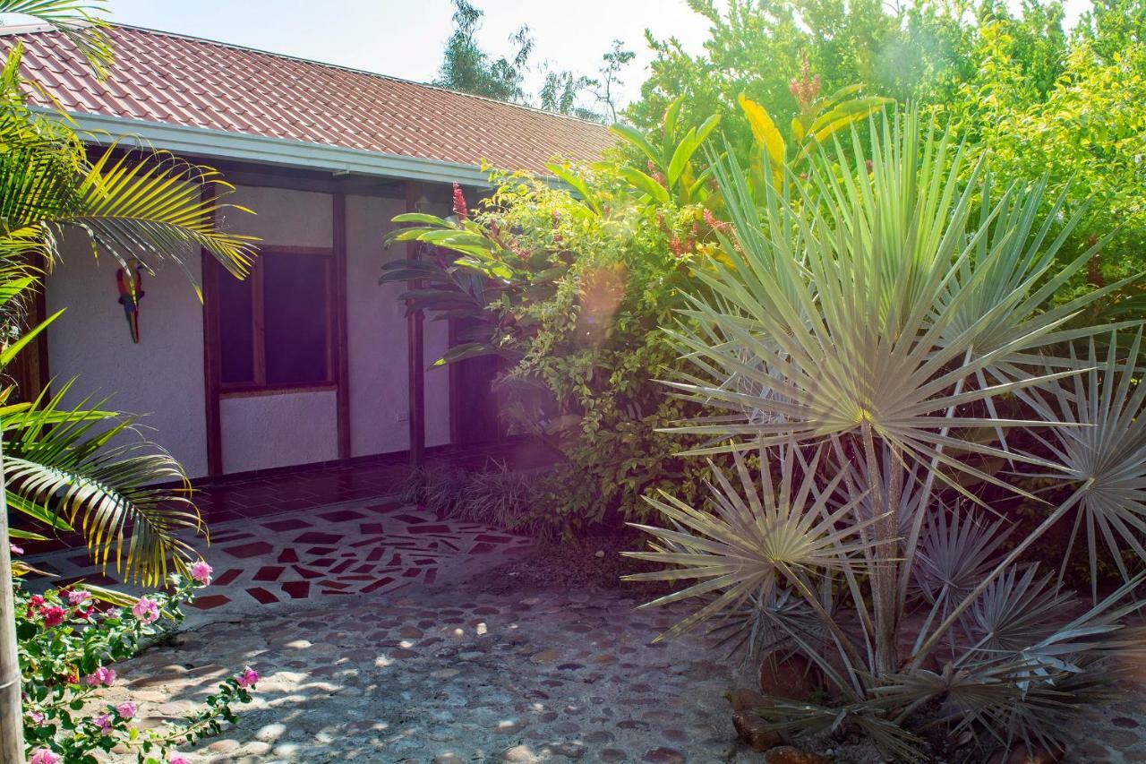 Hostal El Ruby Villavieja Dış mekan fotoğraf